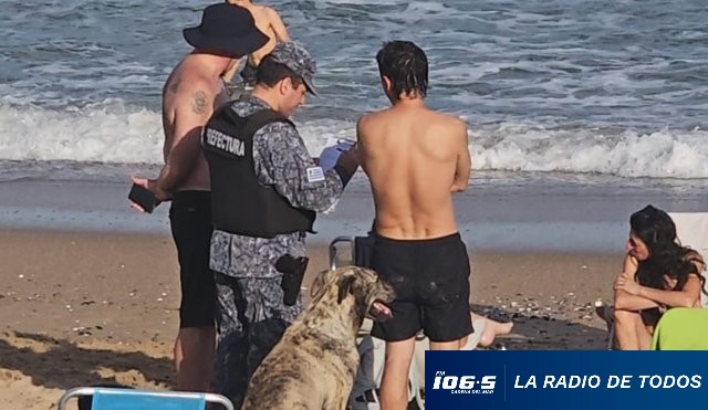 Perros playa 