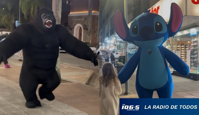 KING KONG STICH
