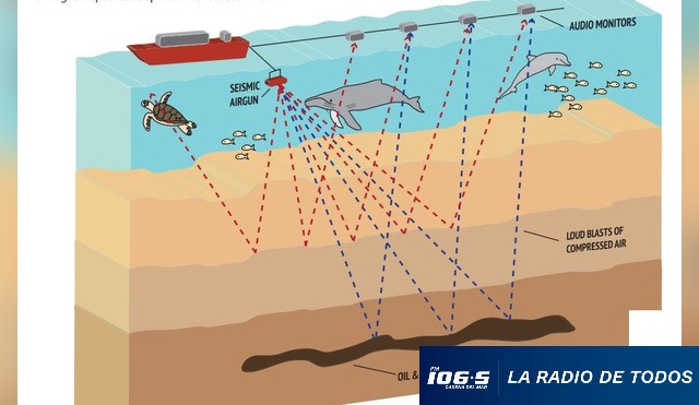 PROSPECCION  15.12