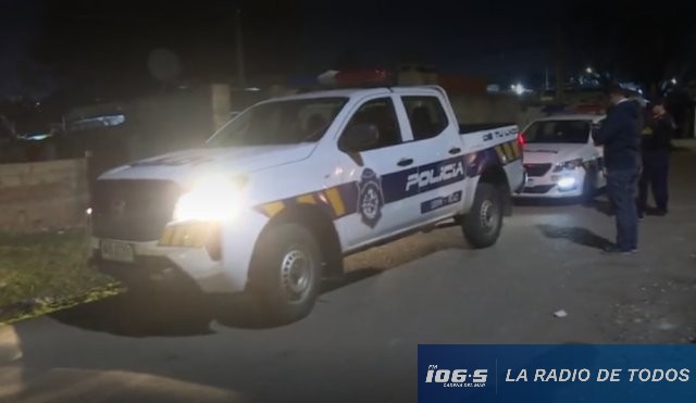 POLICIALES 2