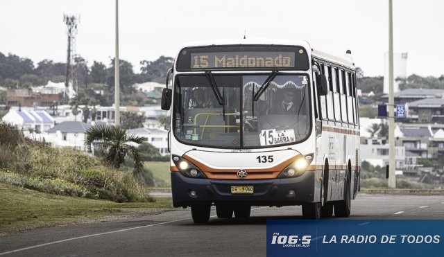 Omnibus