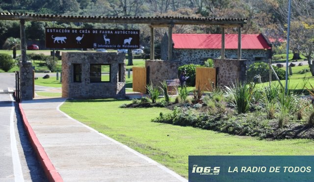ECFA PUERTA