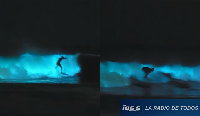 SURF MATIAS