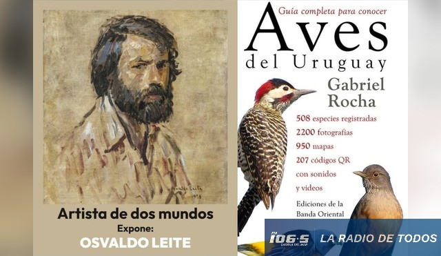 MUSEO 