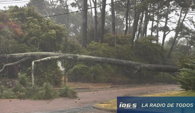 Viento 