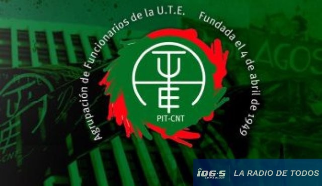 aute