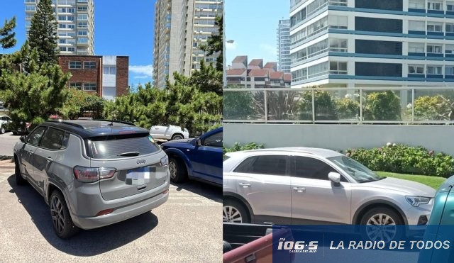 autos recuperados