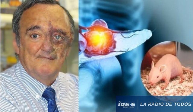 CANCER RATAS
