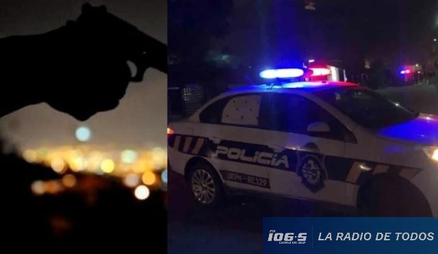 policiales