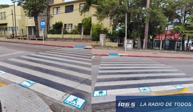 CEBRAS 1