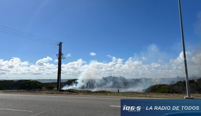incendio 2