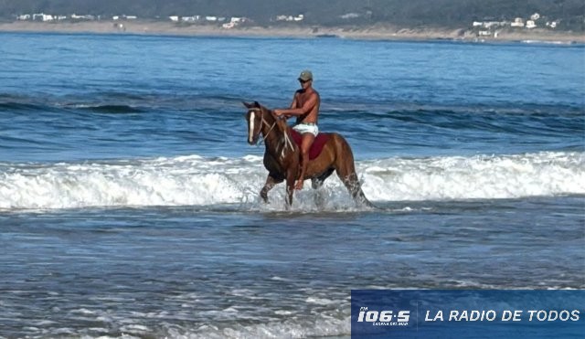 caballo solanas
