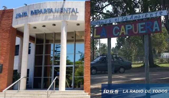 PEDIDO DE INFORME