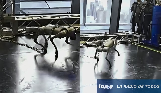 perros ia