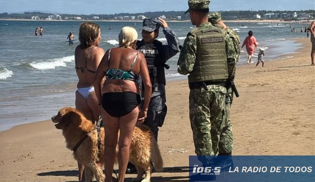 Prefectura perros 