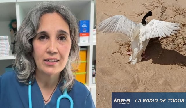 lourdes casas