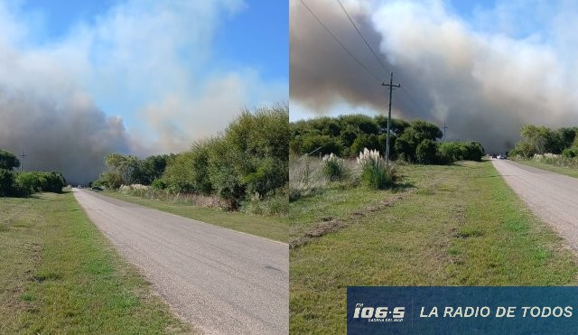 San Carlos incendio 