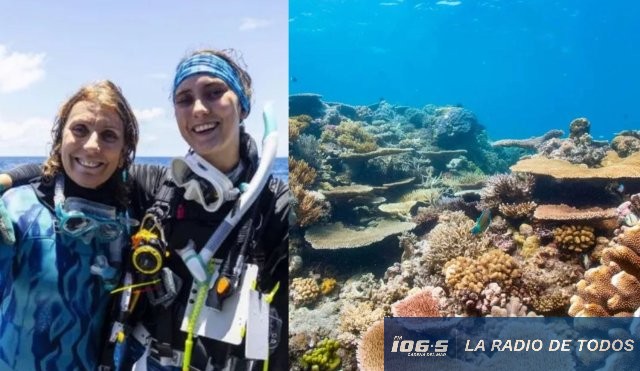 arrecife de coral