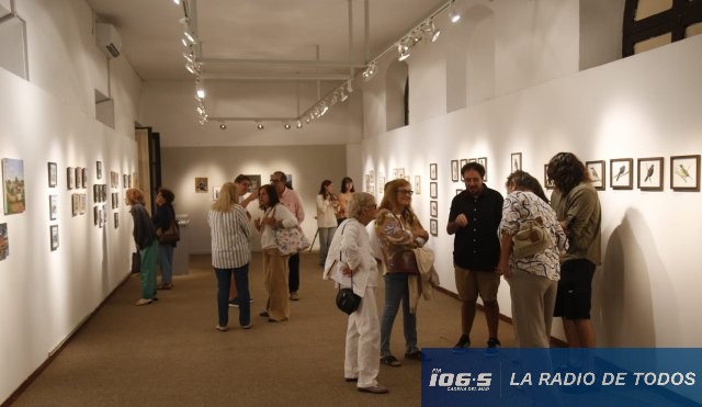 museo mujer