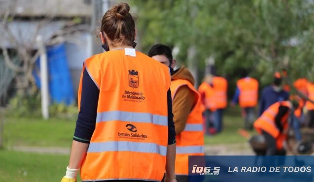 oportunidad laboral maldonado