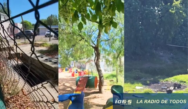 escuela 95 basura