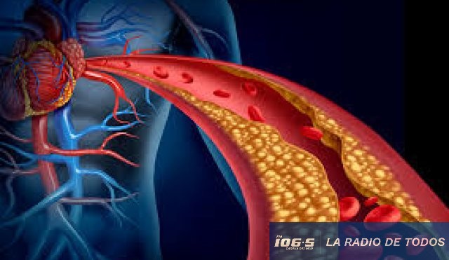 Cardiologia
