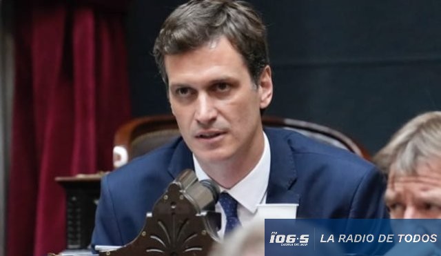 Diputado 1