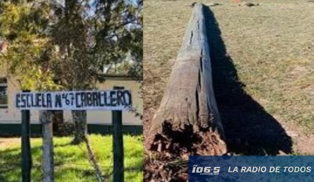 UTE PORTADA
