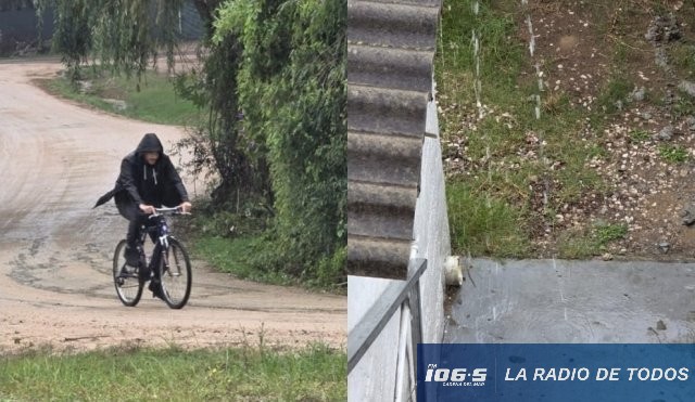 METEOROLOGIA
