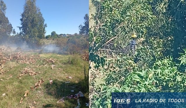 incendio