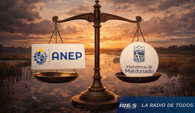 Litigio ANEP idm