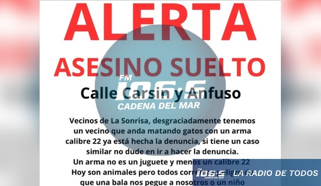 Perros