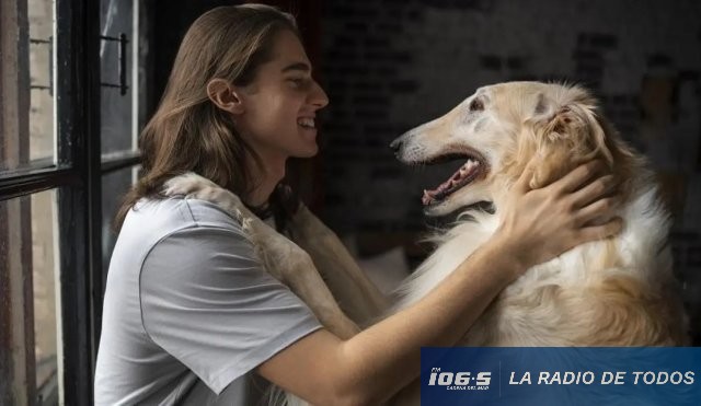 Perros