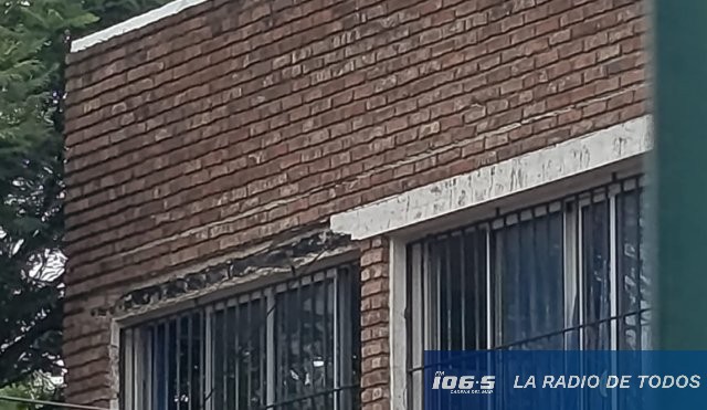 mocheta caída