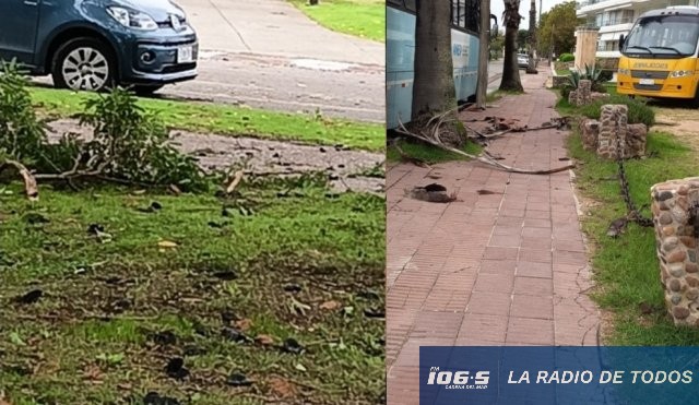 PIRIAPOLIS