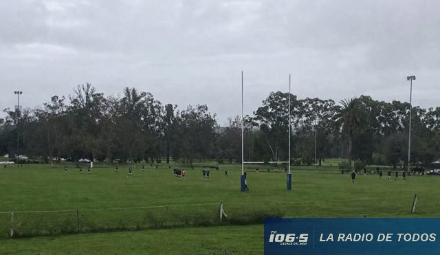 electrocutado rugby