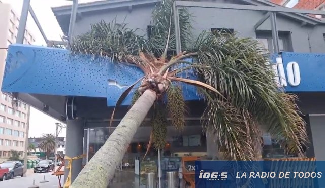 Heladeria