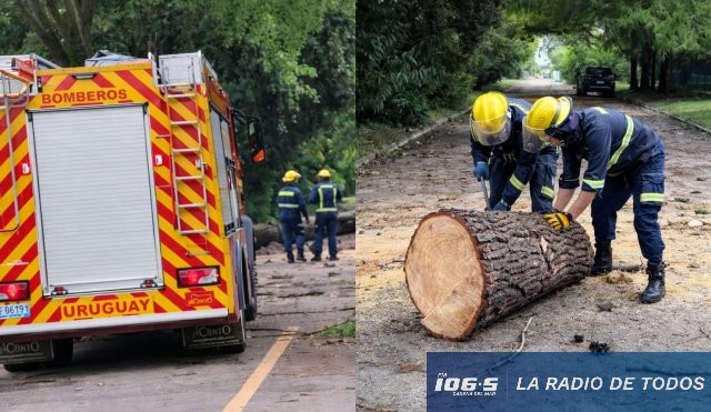 Bomberos temporal