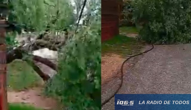 Barrio Los Aromos