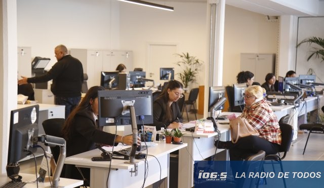 licencias conducir