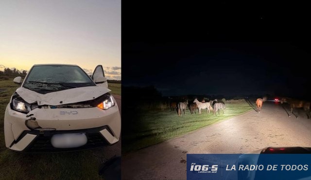 caballos y auto