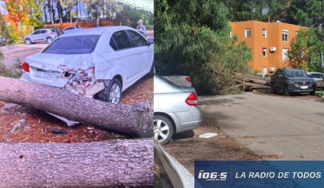 ARBOL 1
