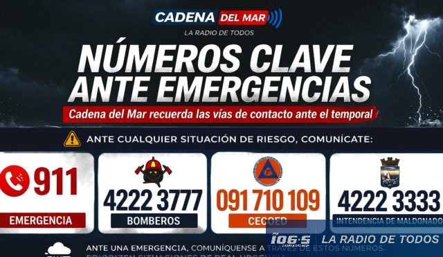 Números clave CECOED 