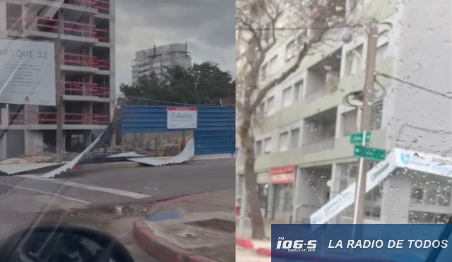 daños varios