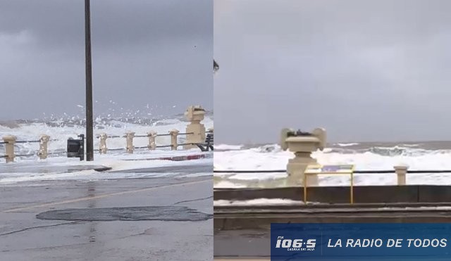 temporal piriápolis