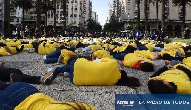 mayo amarillo