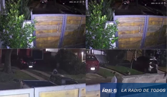 hombre forzando camioneta