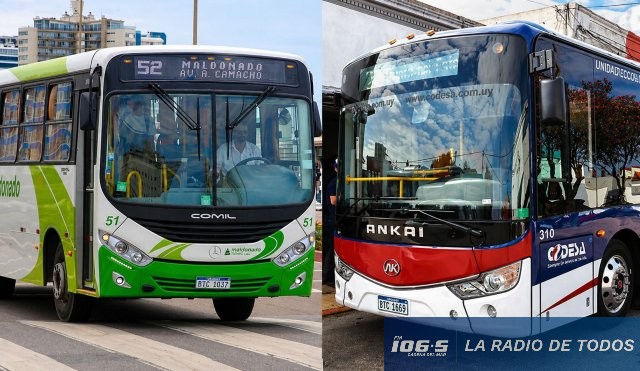 omnibus