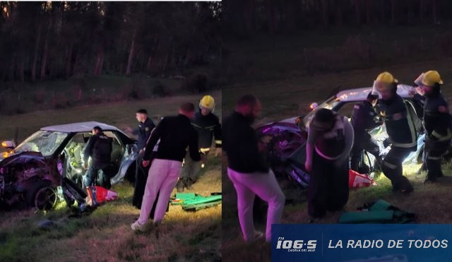ruta 60 auto caído