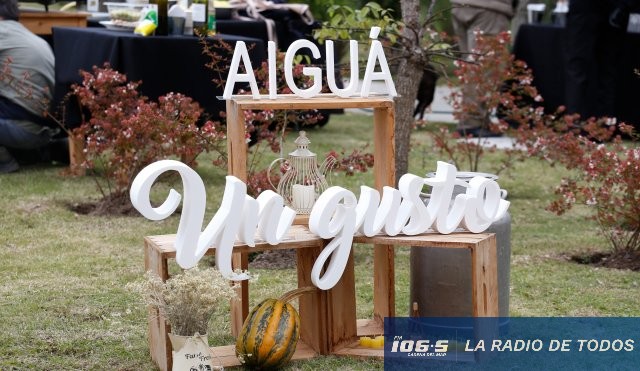 aigua un gusto